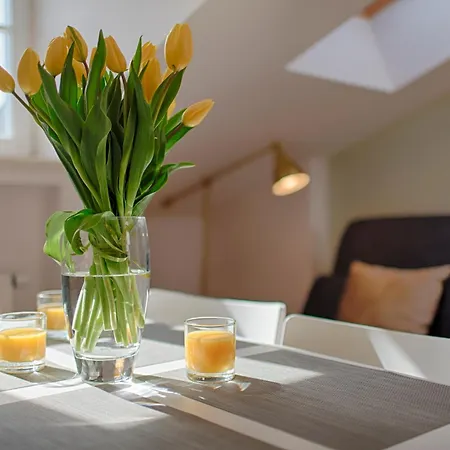 Tyzenhauz Dietla Street Apartment *